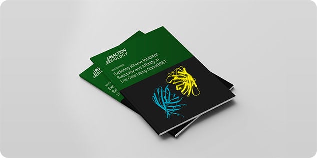 portfolio9